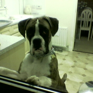 lennox