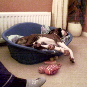 lennox