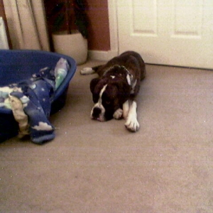 lennox