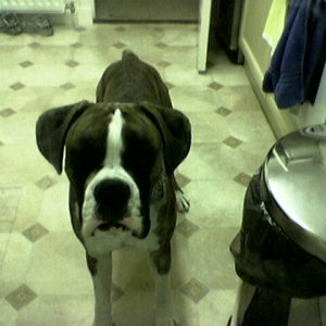 lennox