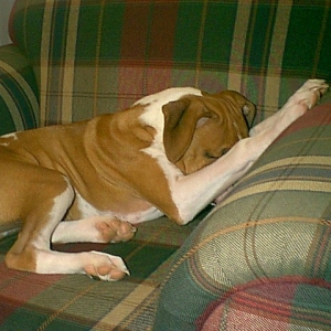 Shy Sampson