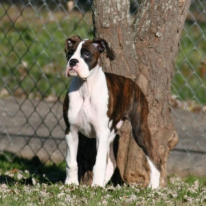 At 14 weeks.