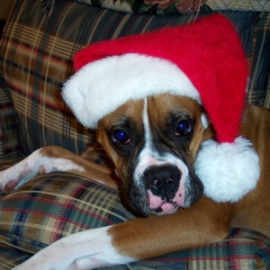 Merry Christmas to all..