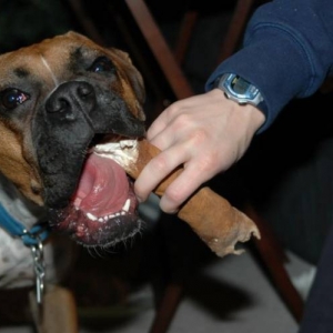 Big Mouth