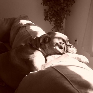 At Rest.....