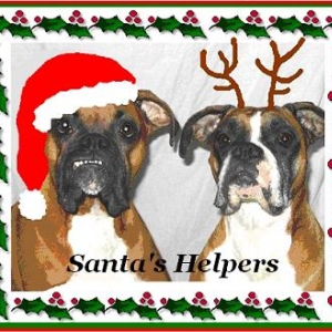 Merry Christmas!!!