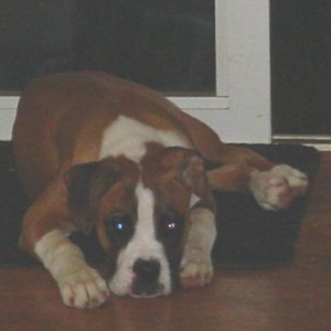 Hanging out by the door