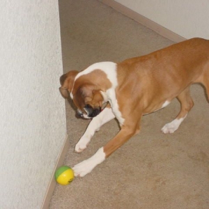 Play time