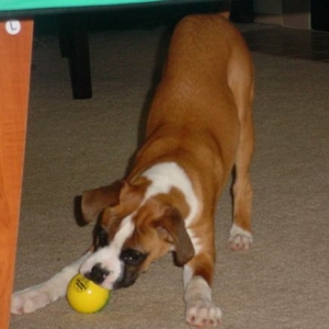 More play time
