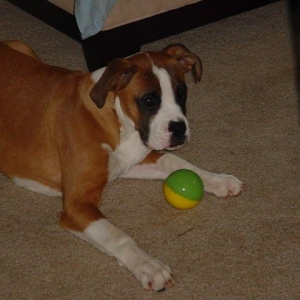 tyson34