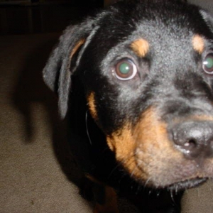 Ready for my close up!