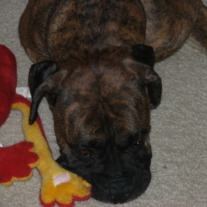 No one will play with me