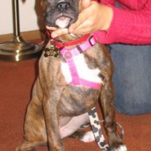Bella 16 wks