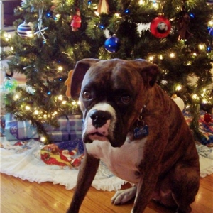 tired of waiting for momma to fix the camera