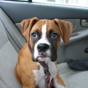 Are we there yet?