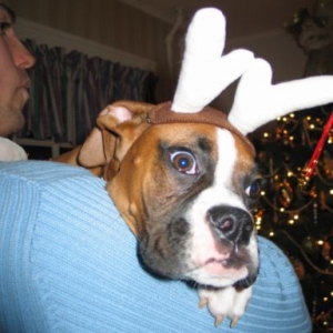 Merry X-mas