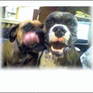 Magoo and friend