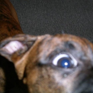 I see you