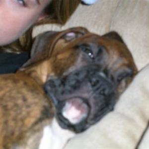 Zzzzzzzzzz