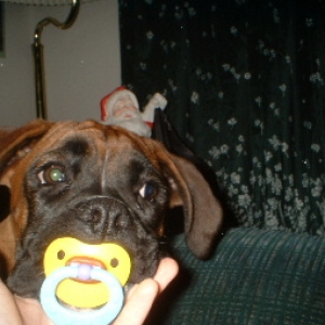 Baby Cinnamon