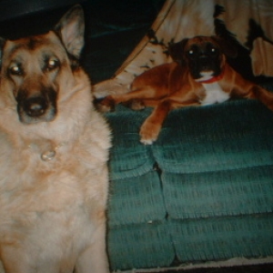 Brandy and CInnamon