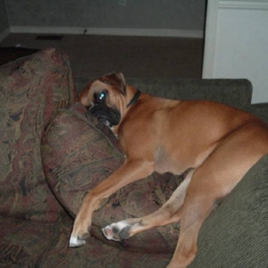 Lazy Bones