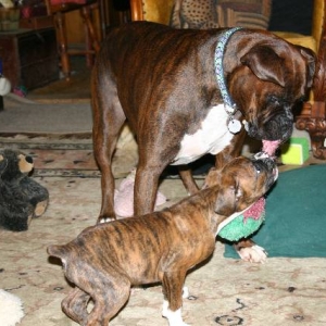 I want to PLAY!!