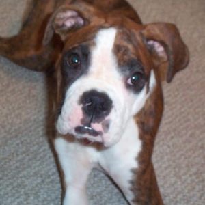 roxy_3_for_BW1