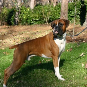 Kaiser at 14 mos.