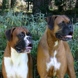 angus_kaiser_003a