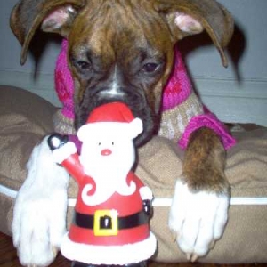 Santa smells good!