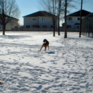 snow1