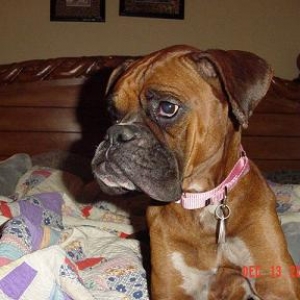 Introducing Grace...our rescue baby girl.