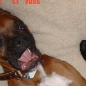 Shocked_Otis_2