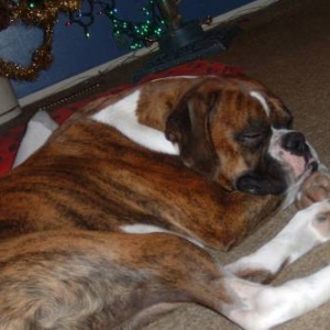 Tired after decorating the tree