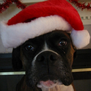 Mona Claus