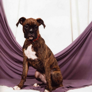 Bellas first portrait