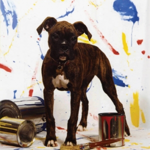 bella-and-paint