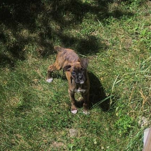 I like playing outside!