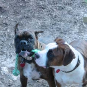 gimme that, it's mine !!!