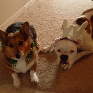 Happy Holidays!!