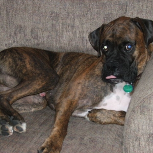 sticking his tongue out at the camera