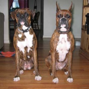 Two pretty girls