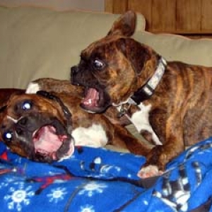 Sweet girls at play