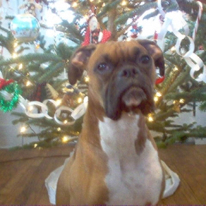 Christmas 2004