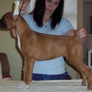 Layla 11 Week Stack