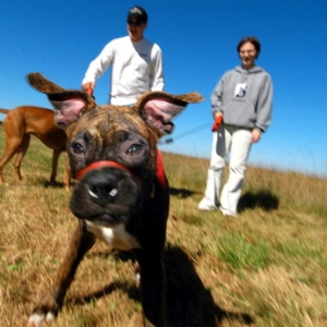 Sadie at Valley Forge