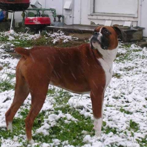 Snow ! !