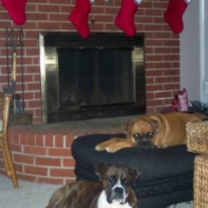 Patiently waiting....