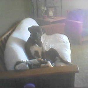 Scooter_10_2003
